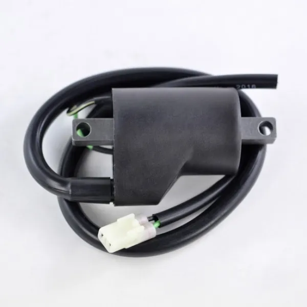 Ignition Coil Honda RVT 1000 RC 51 VTR1000F Super Hawk OEM 30501-MBB-641 30501-MBB-E30 30501-MCF-D30 30501-MCF-D31