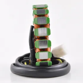 Stator Kawasaki Ninja 250R OEM 21003-0074 21003-0114