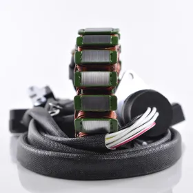 Alternateur Stator Yamaha Waverunner GP1300R 2003-2008
