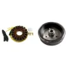 Kit Stator Rotor Kawasaki KLE500 