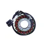 Allumage Alternateur Stator Yamaha FZS1000 FZ1 