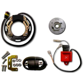 Kit Allumage Stator Rotor Bobine CDI Suzuki RM60 RM65 RM80 RM85 RM100 RM125 RM150