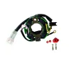 Lighting Stator Husaberg FC450 FC550 OEM 80039004100