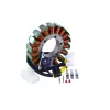 Stator Arctic Cat Wildcat 700 OEM 3307-028