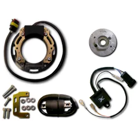 Ignition Stator Rotor CDI Unit Ignition Coil Husqvarna  390