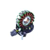 Stator Alternateur Kawasaki 300 Brute Force 21003-Y007
