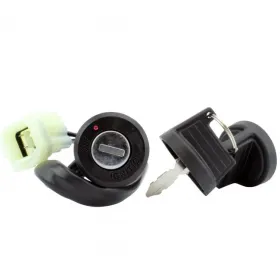 Contacteur à Clés Neiman CanAm DS250 OEM S35010RCB000