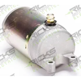 Démarreur Triumph Daytona 955i Speed Triple 955 1050 Sprint ST1050 Tiger 955 1050 OEM T1310595 T1310605 T1311119