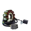 Alternateur Stator Allumage Arctic Cat 150 OEM 3304-967 3304-968