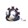 Stator KTM 530XC 530EXC 525XC 400EXC 450EXC 525EXC 525MXC 250EXC 520SX OEM 80039004000 59039104000 59039104200