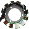 Alternateur Stator Kawasaki KLX250 KLR250 KL250 OEM 21003-1121