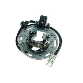 Stator Allumage Kawasaki KX80 KX100 OEM 21003-1241 21003-1261 21003-1317