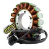Stator Aprilia ETV 1200 Caponord OEM 680199