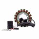 Alternateur Stator Aprilia SMV 750 900 1200 Dorsoduro SL 750 900 Shiver OEM 640168