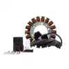 Alternateur Stator Aprilia SMV 750 900 1200 Dorsoduro SL 750 900 Shiver OEM 640168