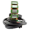 Alternateur Stator Allumage Husqvarna SM630S TE630 SM610 TE610 OEM 8000A6767 8000A6778