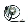 Ignition Kit Stator Rotor CDI Honda CR500R