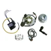 Ignition Kit Stator Rotor CDI Honda CR500R