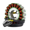 Stator CanAm Ryker 600 900 OEM 420296913