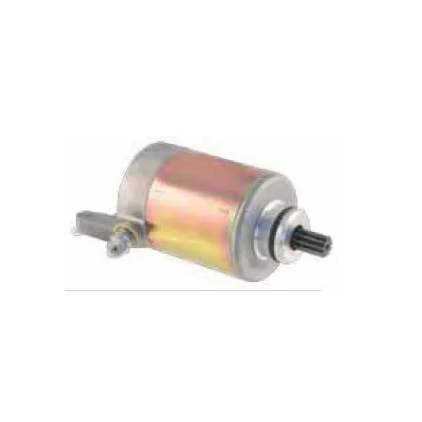 Starter Motor-Aprilia-Atlantic 250-Sportcity 250-Scarabeo 300-Sportcity Cube 300-SR Max 125 300