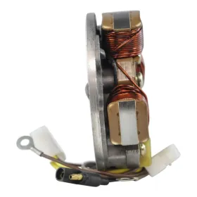 Stator SkiDoo Tundra 250 Nordik 50 60 Formula Plus 500 521 537 580 MX467 Mach 1 600 Safari 377 447 467 OEM 410914700
