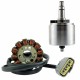 Kit Flywheel Stator Regulator Lithium Yamaha FZS1 FZ8 FZ1 YZF R1 OEM 5VY-81450-00-00 2D1-81410-00-00 2D1-81410-01-00 