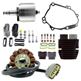 Kit Rotor Stator Régulateur Lithium Yamaha FZS1 FZ8 FZ1 YZF R1 OEM 5VY-81450-00-00 2D1-81410-00-00 2D1-81410-01-00