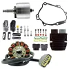 Kit Flywheel Stator Regulator Lithium Yamaha FZS1 FZ8 FZ1 YZF R1 OEM 5VY-81450-00-00 2D1-81410-00-00 2D1-81410-01-00 