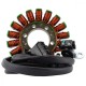 Alternateur Stator Triumph Daytona 675R Daytona 675 OEM T1300181