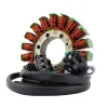 Stator Triumph Daytona 675R Daytona 675 OEM T1300181