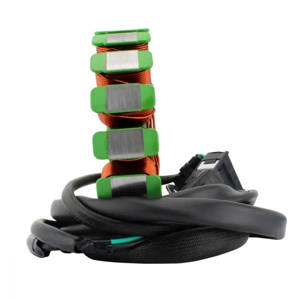 Alternateur Stator Triumph Daytona 675R Daytona 675 OEM T1300181