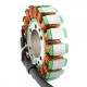 Stator Allumage Triumph Street Triple 675R Street Triple 675 OEM T1300205 T1300057