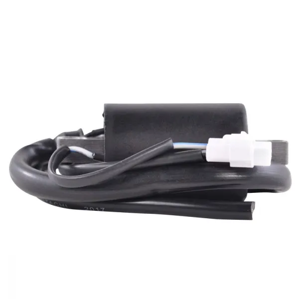 Bobine HT Polaris 800 Rush 800 Dragon 600 800 IQ 700 900 Fusion 700 900 RMK 600 800 900 Switchback OEM 4012136 4011105 4013052