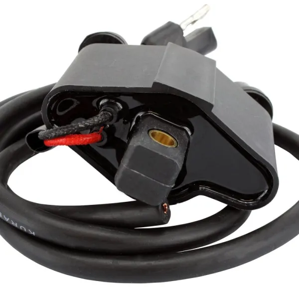 Ignition Coil Arctic Cat Cheetah Cougar Jag Pantera Panther Prowler Mountain Cat ZL 440 OEM 3003-575 3005-386 3005-341
