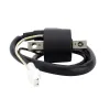 Ignition Coil Arctic Cat ZR8000 XF8000 M8 M1000 Sno Pro F8 Firecat 800 1000 CrossFire 800 1000 OEM 3007-320 3007-548