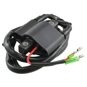 Ignition Coil Arctic Cat OEM 3005-170 3005-381 3006-534 3005-409 3006-692