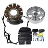Kit Rotor Stator Gasket Regulator Ski Doo Grand Touring Expedition Renegade GSX GTX MX Z 1200 TNT OEM 420892362