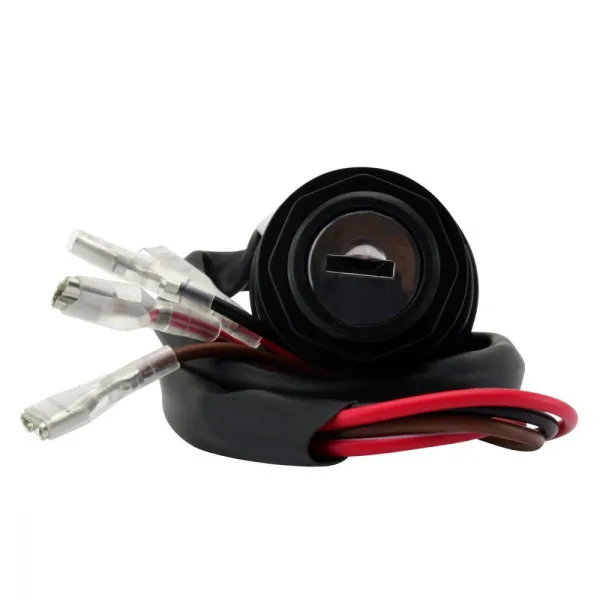 Ignition Key Switch Polaris Xplorer 300 400 Magnum 425 Sportsman 400 Trail Boss 250 350 Big Boss 250 OEM 4110086 4110140