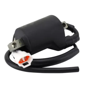 Bobine HT Polaris 650 Indy Matryx Switchback 850 XC PROSS Khaos Adventure RMK Assault OEM 4017566