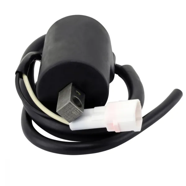 Bobine HT Polaris 650 Indy Matryx Switchback 850 XC PROSS Khaos Adventure RMK Assault OEM 4017566