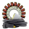 Stator SeaDoo 300 RXP X 300 GTX 230 WAKE RXT GTX GTR 155 WAKE 155 GTX 130 155 GTI OEM 420889728