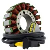Stator SeaDoo 300 RXP X 300 GTX 230 WAKE RXT GTX GTR 155 WAKE 155 GTX 130 155 GTI OEM 420889728