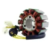 Stator Kawasaki Ninja ZX10R OEM 21003-0019