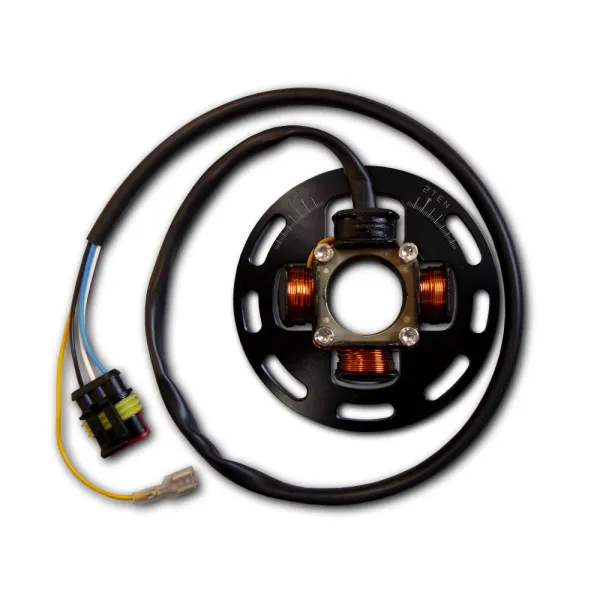 Stator Rotor pour Kit KTM BE210K017 KTM 125EGS 125EXC 125GS 125MX 125MXC 125SX 250GS 250MX 250MXC 250SX 350GS
