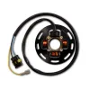 Stator Rotor pour Kit KTM BE210K017 KTM 125EGS 125EXC 125GS 125MX 125MXC 125SX 250GS 250MX 250MXC 250SX 350GS