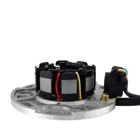 Stator Kawasaki KX125 OEM 21003-1321 21003-1379