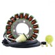 Allumage Alternateur Stator Kawasaki ZX12R