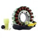 Allumage Alternateur Stator Kawasaki ZX12R