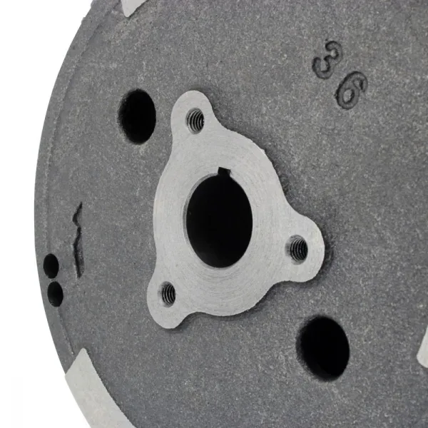 Rotor Volant Moteur Polaris Polaris Xplorer 250 400 Sportsman 400 Trail Blazer 250 Big Boss 250 Trail Boss 250 OEM 3083939