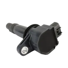 Ignition Coil Lynx SkiDoo Renegade Expedition Grand Touring 900 CanAm Maverick 1000 OEM 420666145